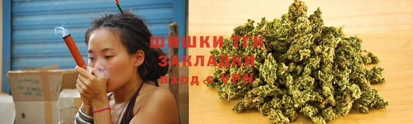 тгк Бронницы