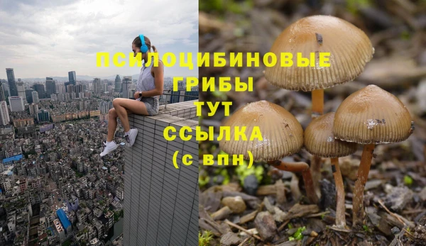 каннабис Бородино