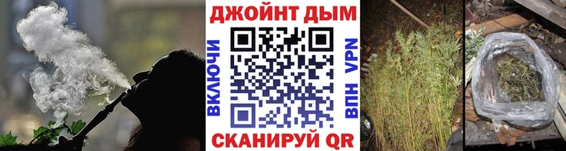 Купить закладки  Волосово  Конопля семена 